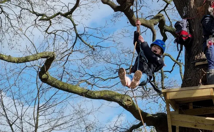 Year 3 tree climbing