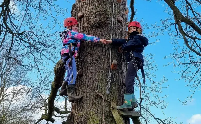 Year 3 tree climbing